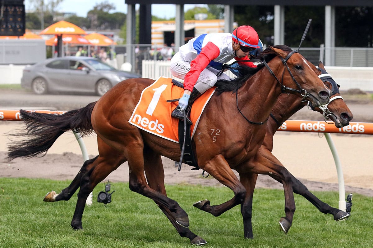 Mr Maestro side-lined