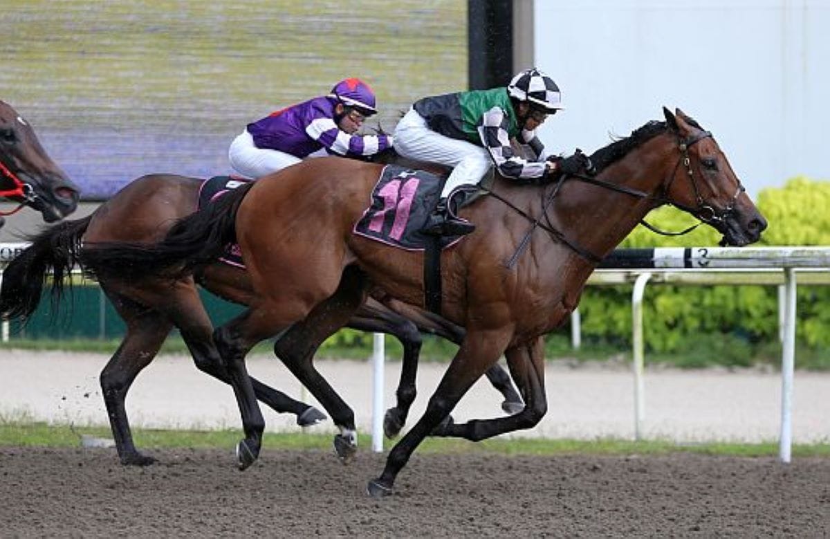 Red Ocean springs upset