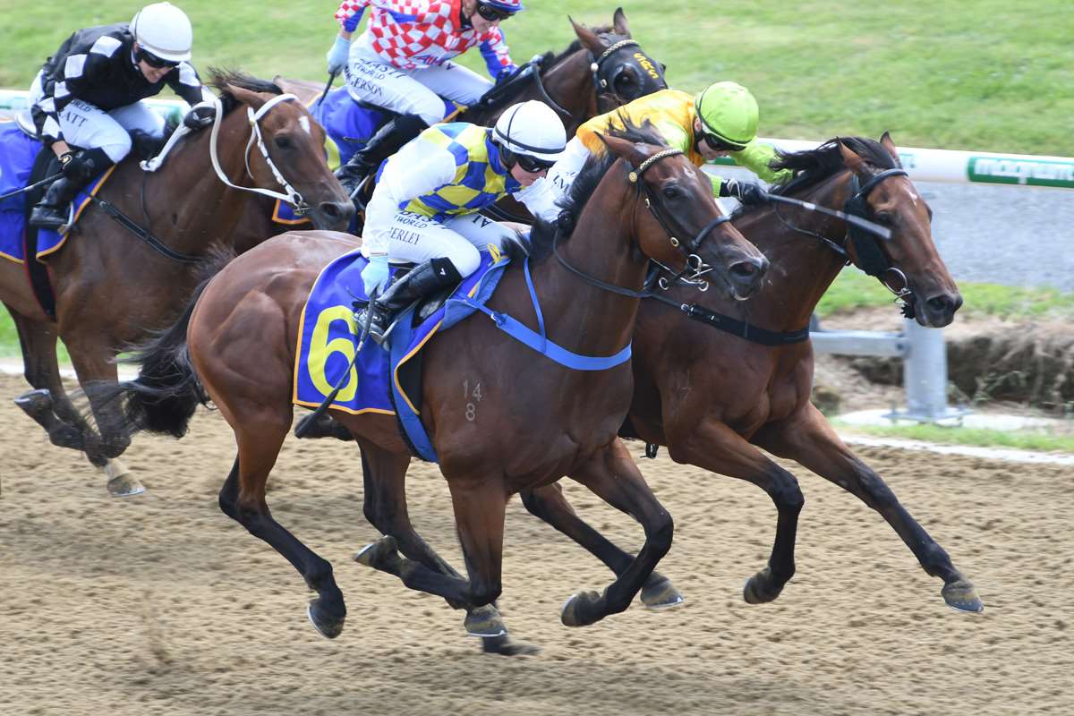 Wood trio out for hometrack success