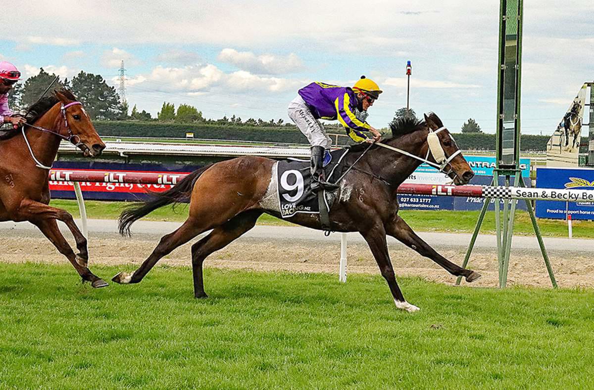 Price ready for Wingatui battle