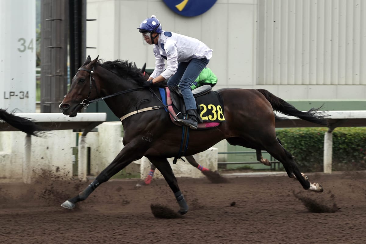 Golden Sixty trials with sights on a third straight FWD Champions