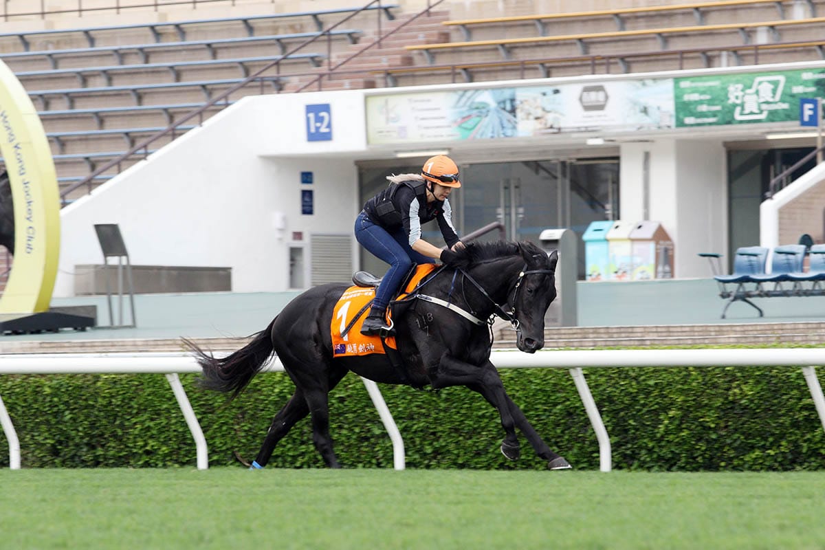 Blinkers an unknown for Aegon