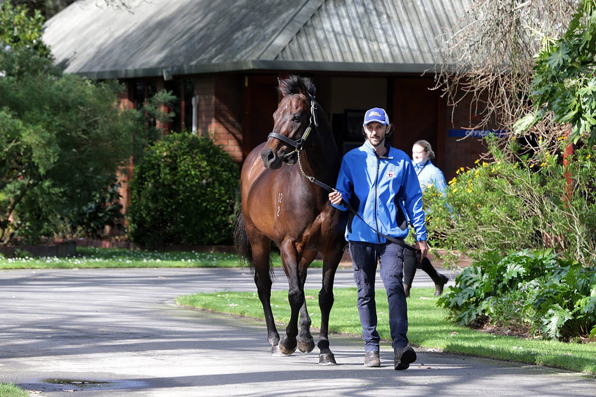 Changing of guard at The Oaks Stud