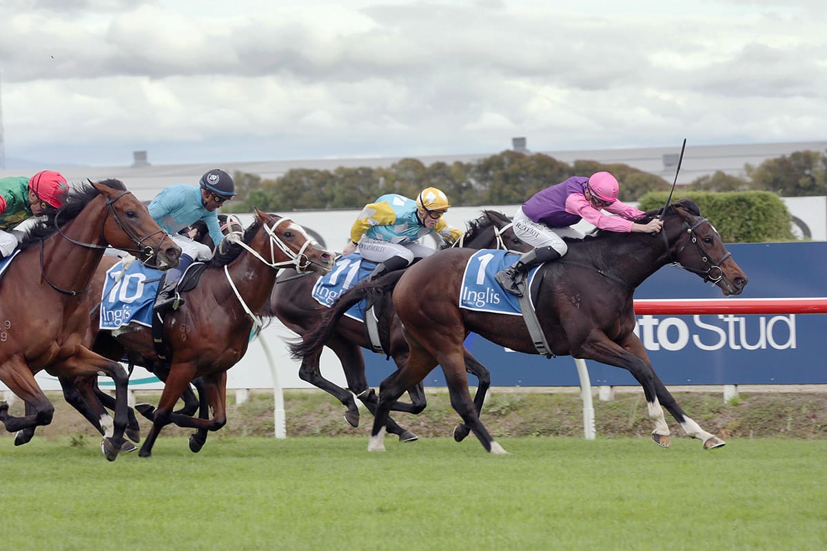 Denby Road delivers in Breeders’ Stakes