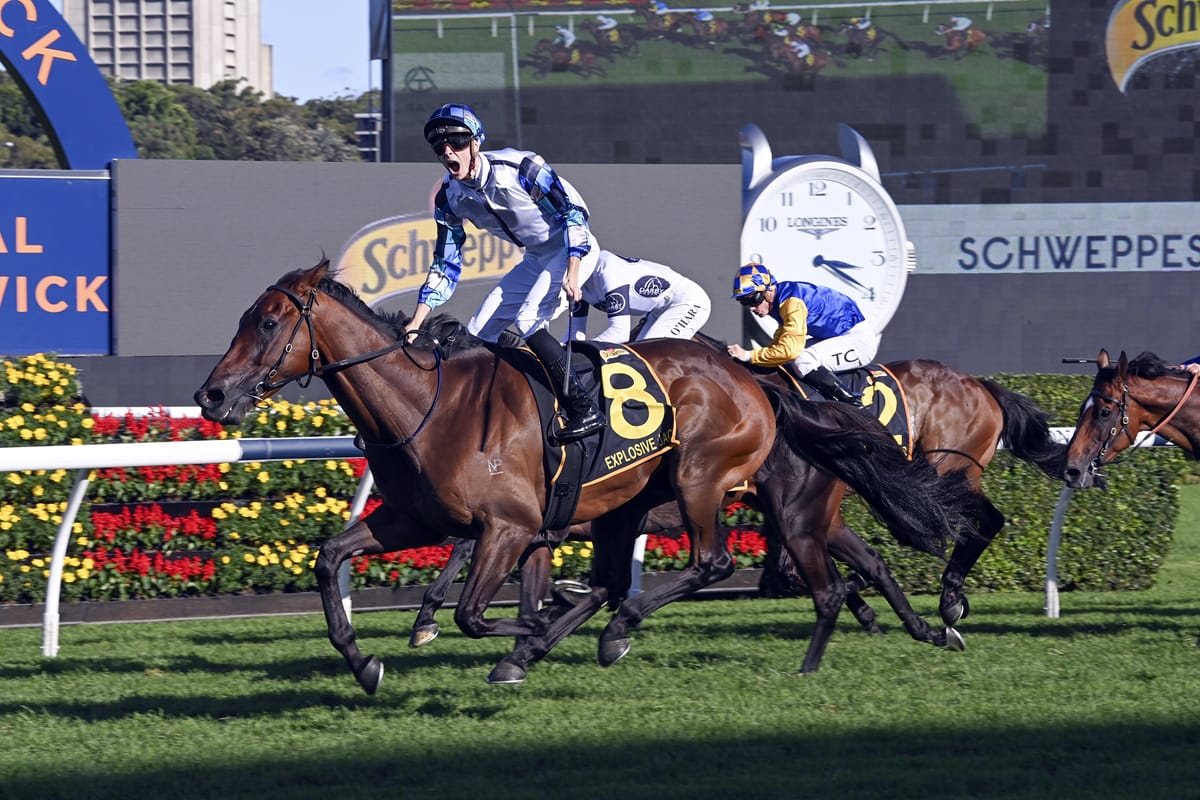 Great fortnight for Novara Park