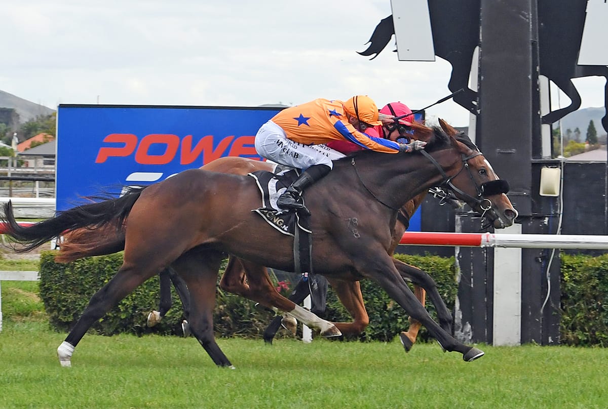 Fierce Flight takes Hawke’s Bay Cup in desperate finish