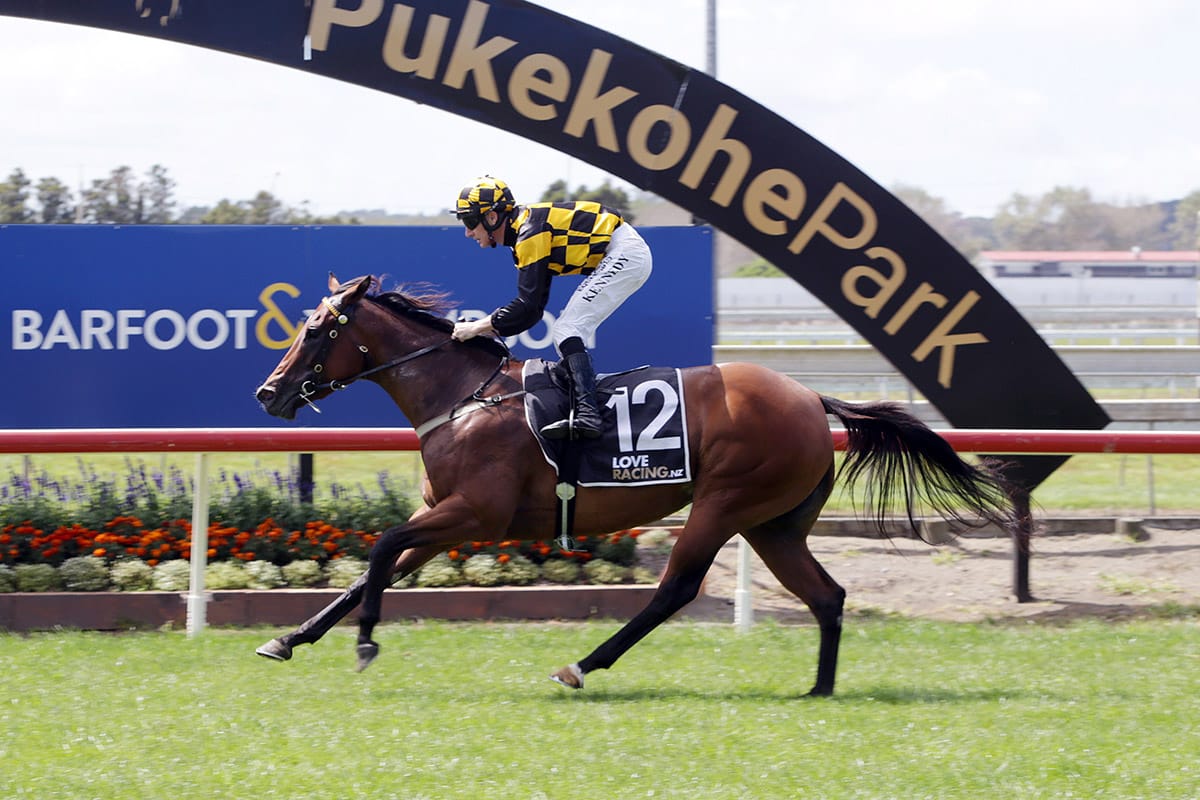 Flamebird shooting for black-type at Te Rapa
