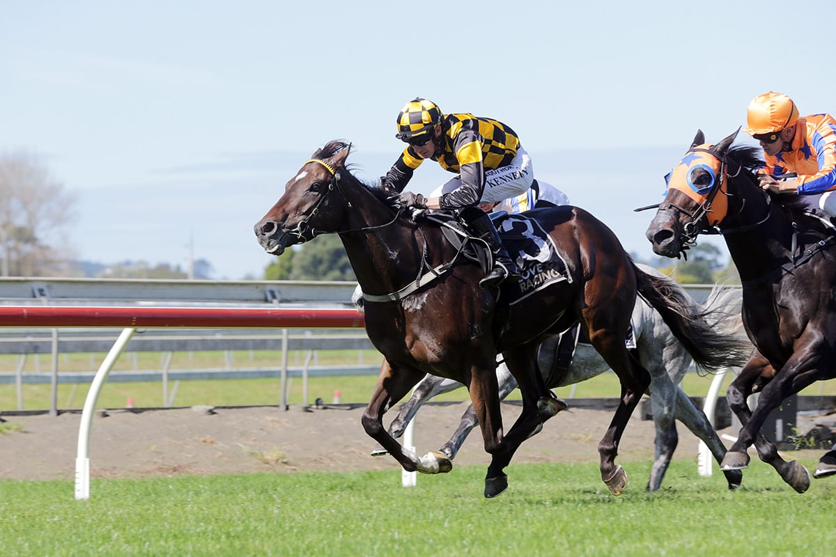 Habana ready for stakes target