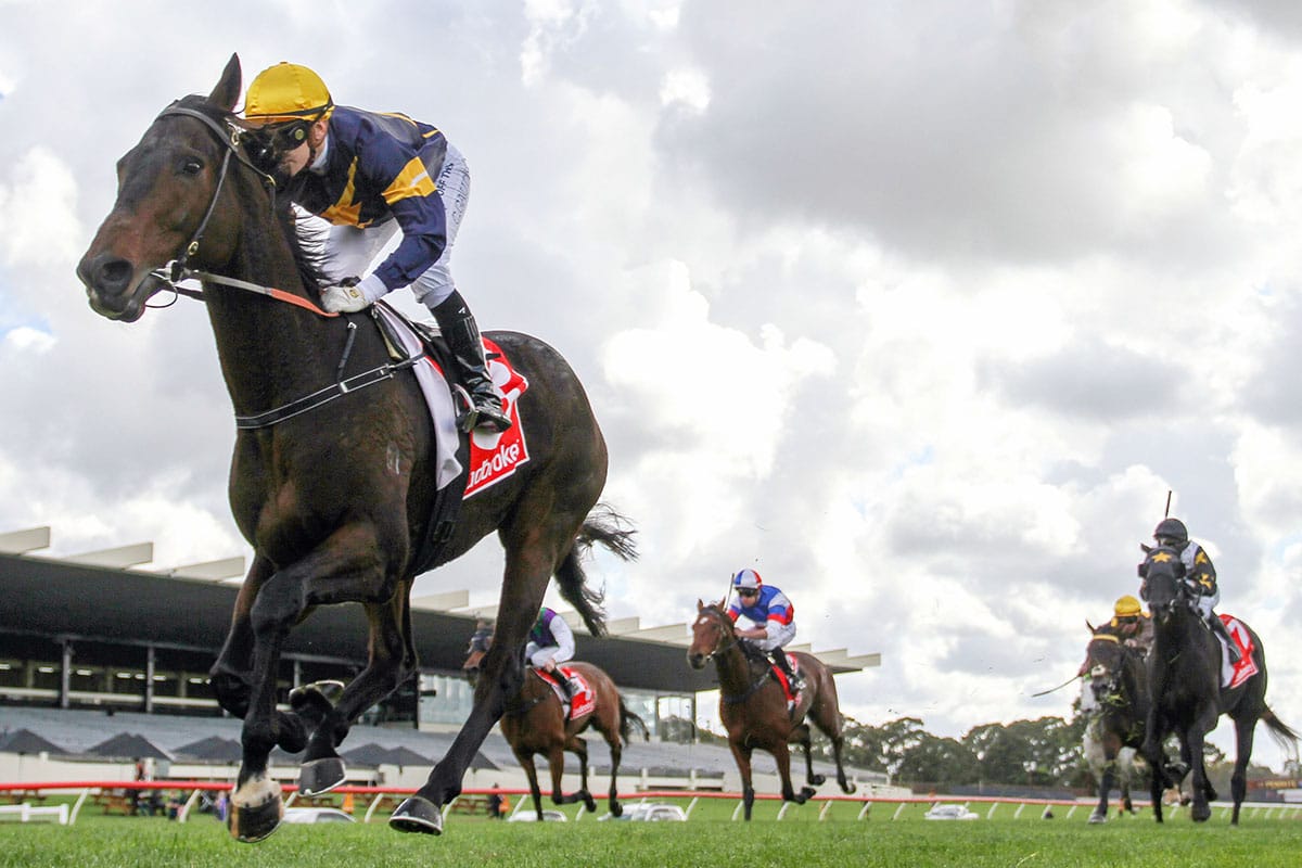 Dwyer takes Cup plunge with Butterfly