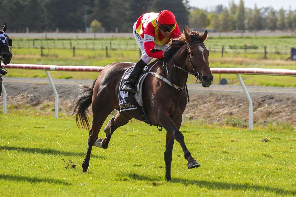 It's Belsanto shoots for hat-trick at Timaru