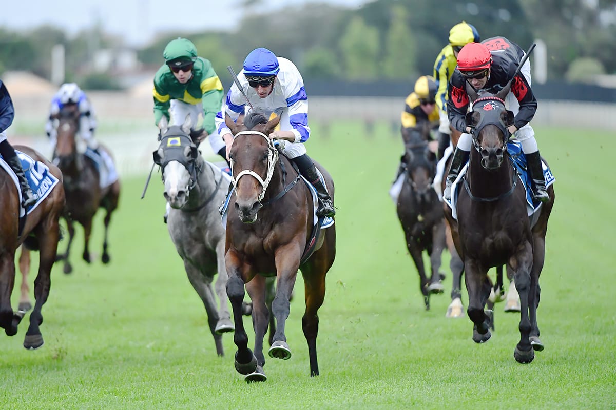 Kovalica all class in Queensland Guineas triumph