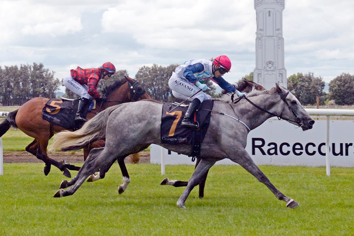 Guineas winner to HK