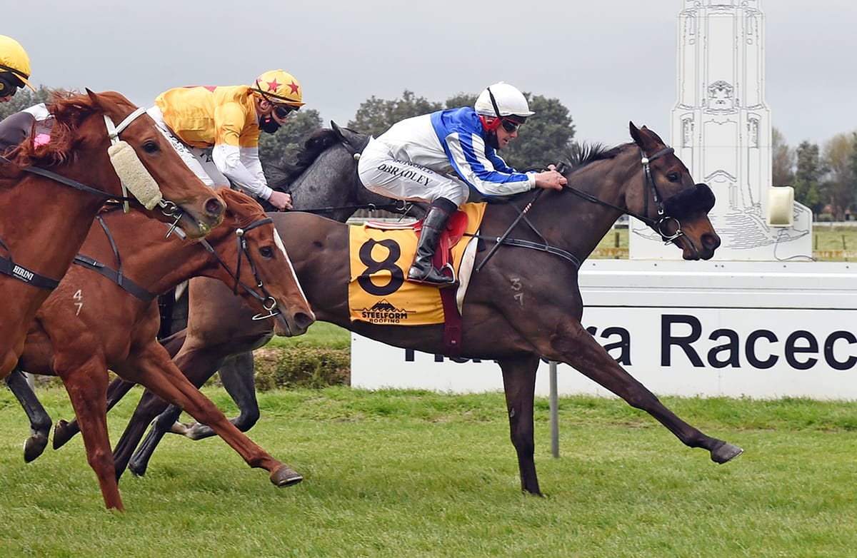 Newman would love further black-type