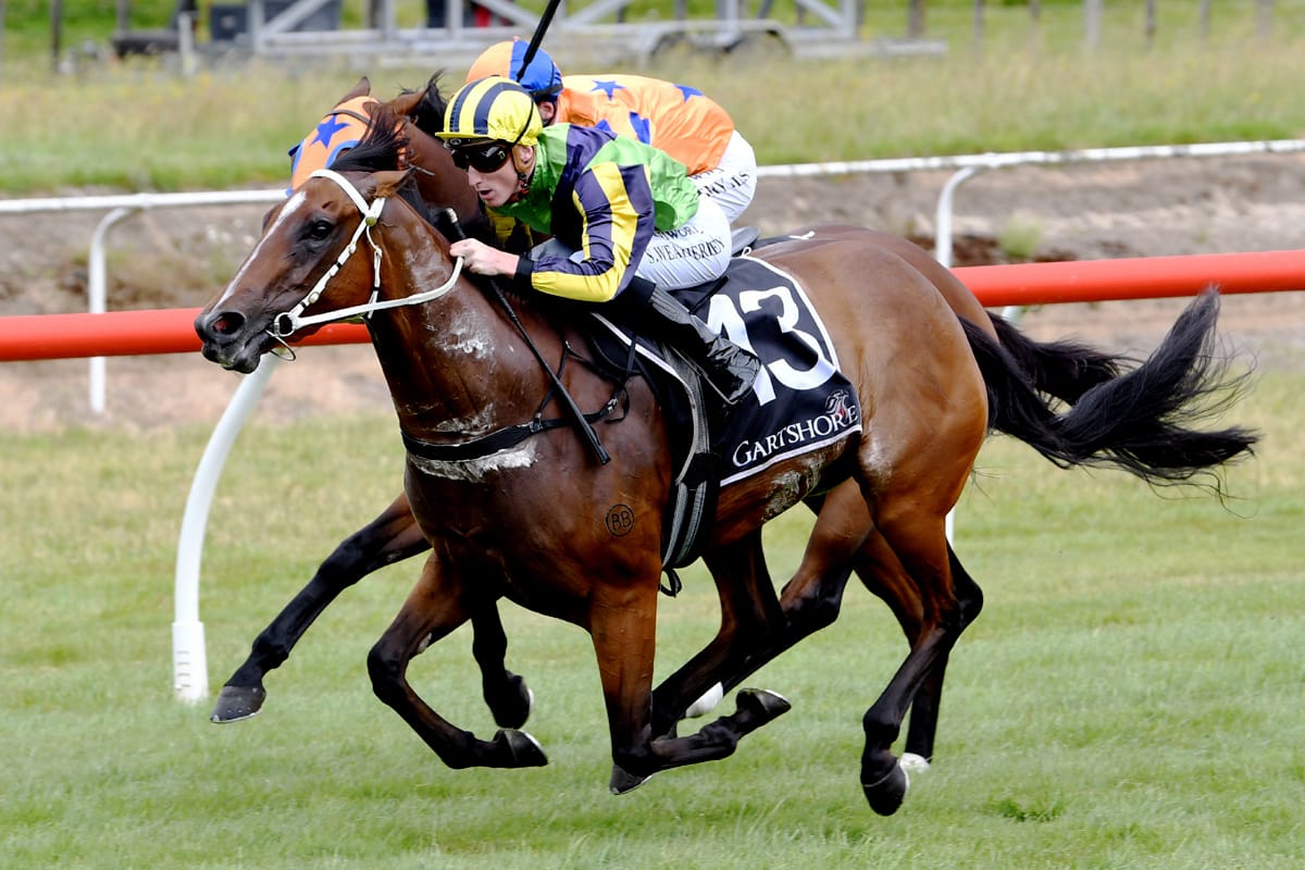 Stakes victory to crown ideal first innings