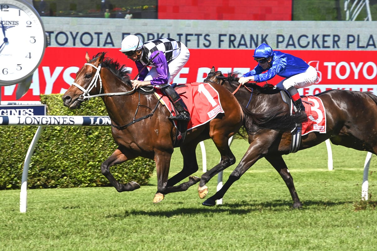 Osipenko picks up Frank Packer Plate consolation