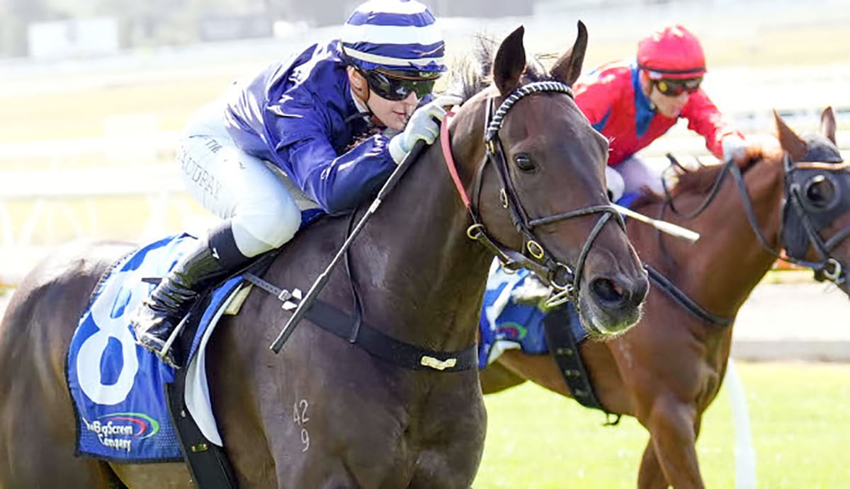 Kent has sights on VRC St Leger