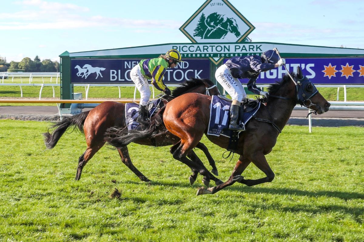 Big brother’s turn in the limelight after massive day out at Riccarton