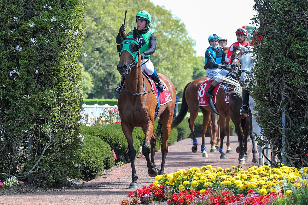 Thoroughbreds a key sector in Taimate triumvirate