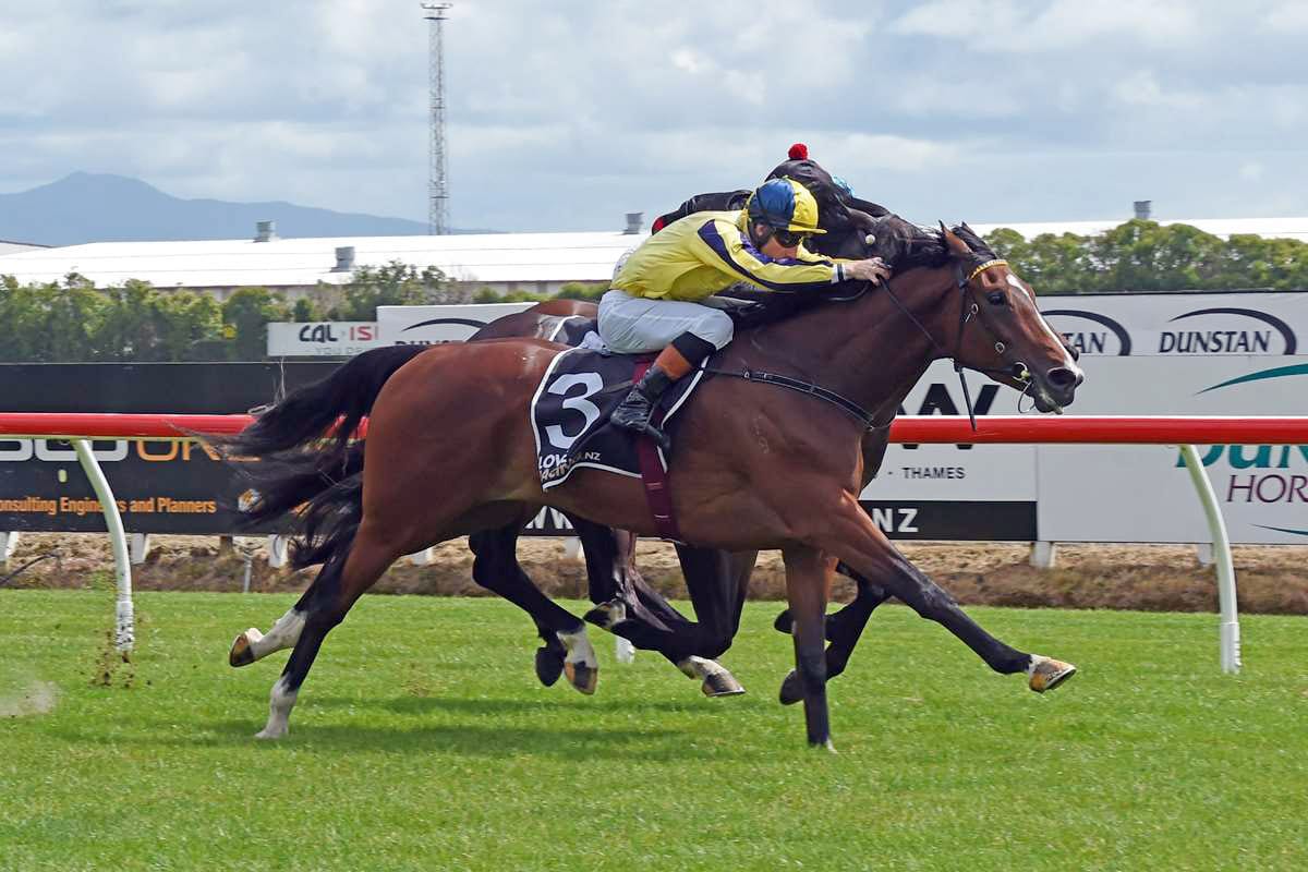 Third time could be the charm for Guineas runner