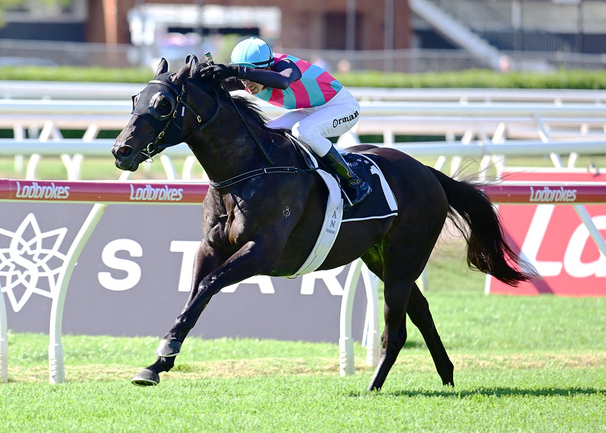 Antino a winning machine