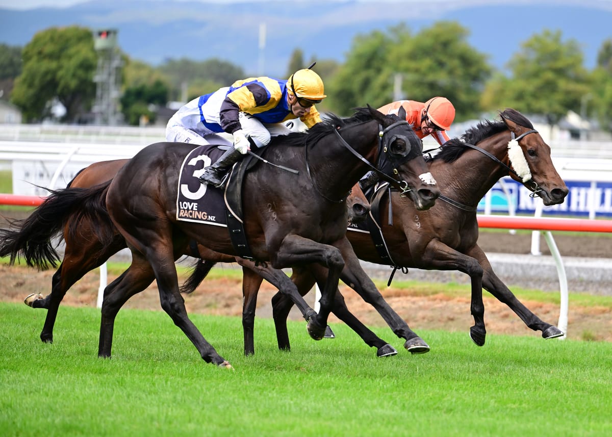 Derby hope Arby in tip-top order