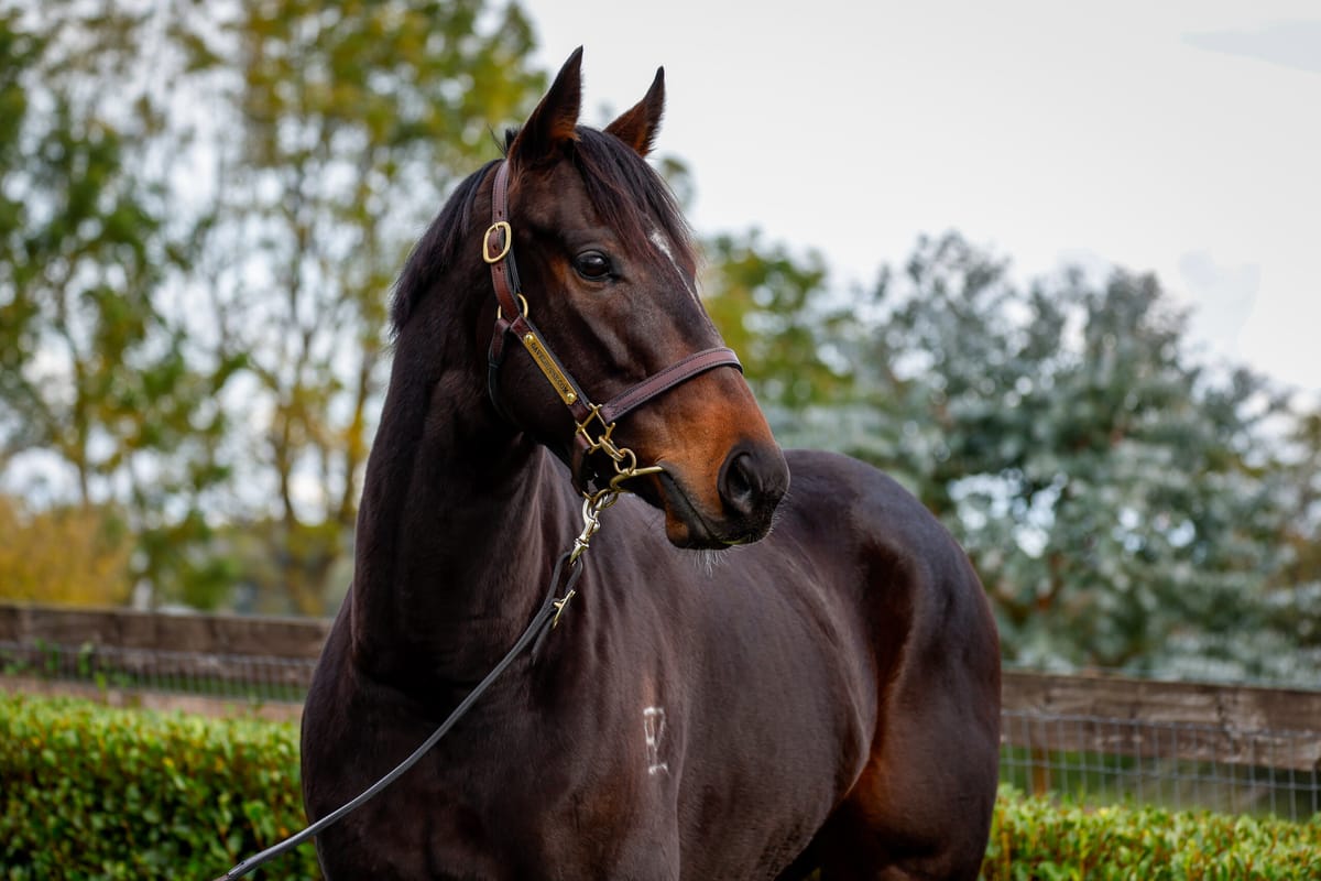 Carter’s Bookend bids work a treat for Burgundy Rose