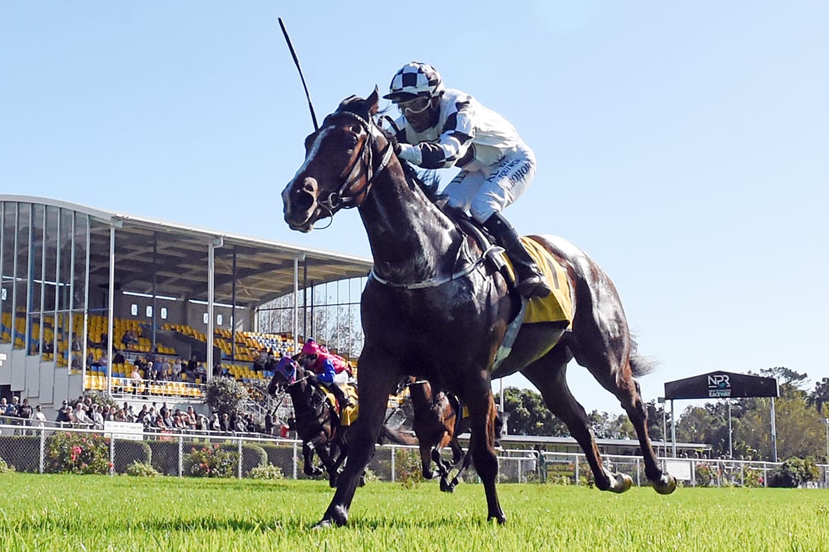 Sharrock holds strong hand in Wanganui features