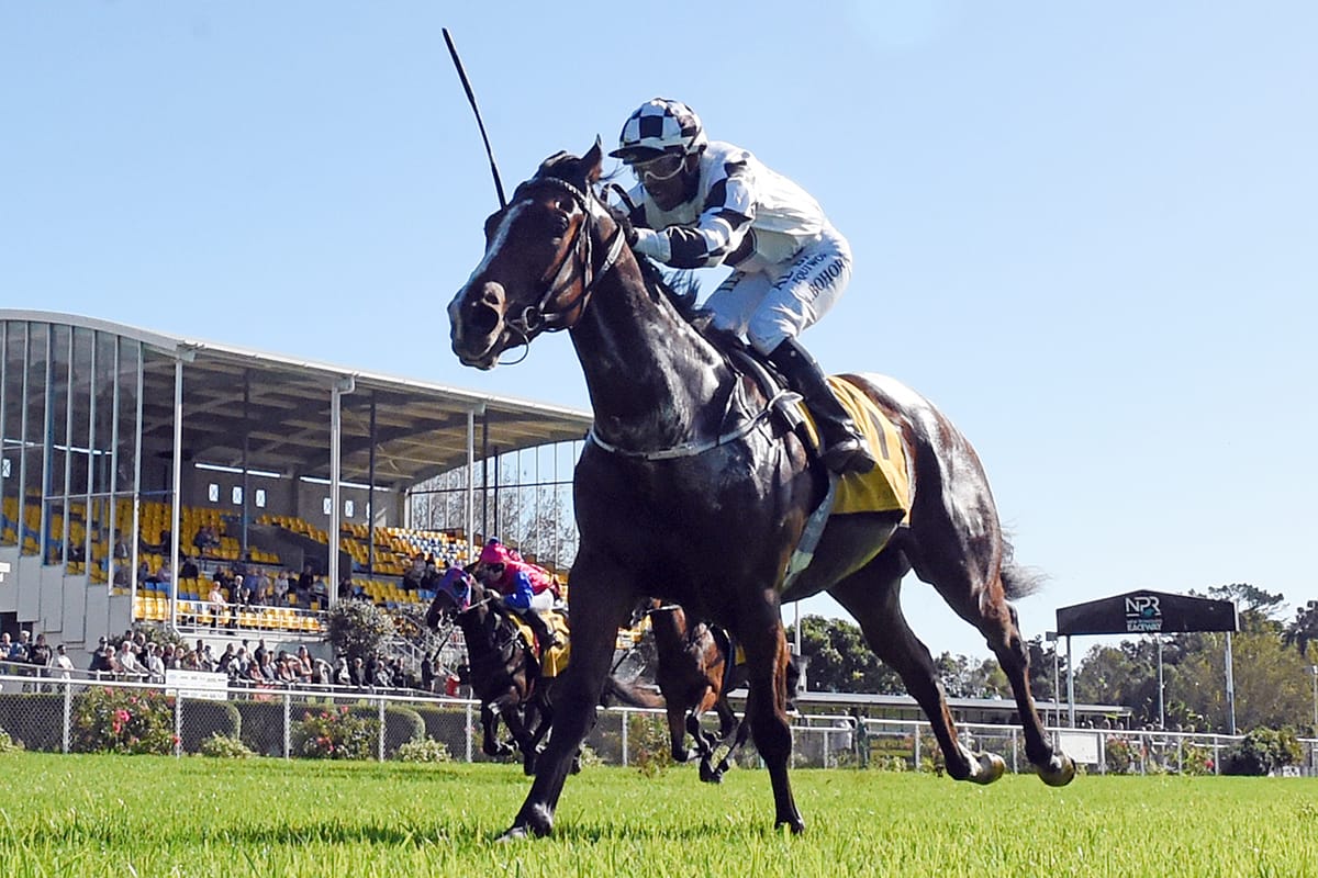 Confidence in Carbonados camp well founded