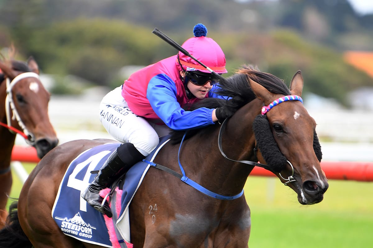 Chantilly Lace the yardstick in Taranaki 2YO