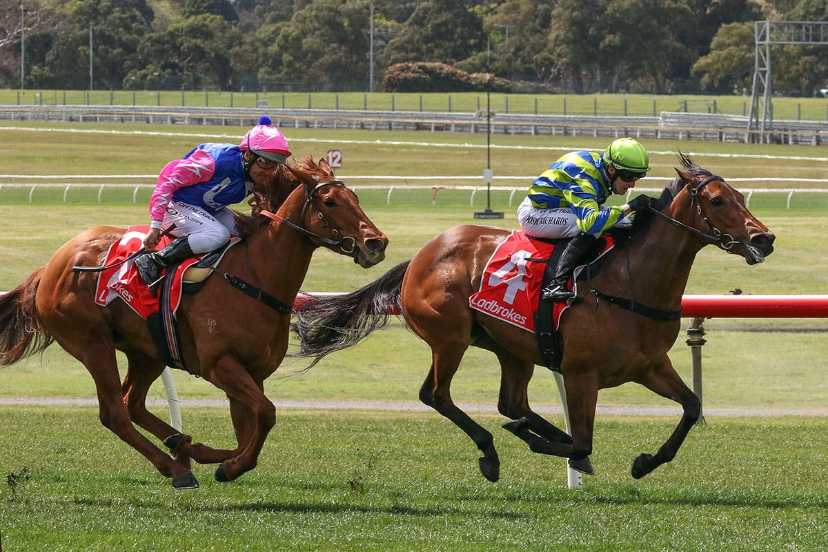 Esta La Roca chasing stakes win