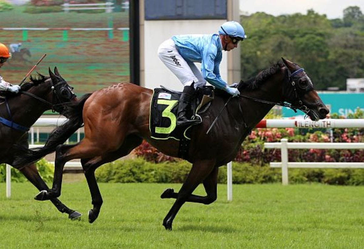 Moor to come for February