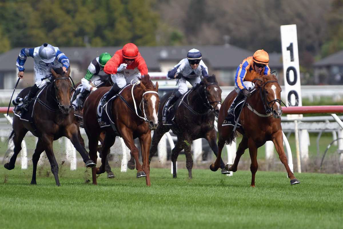 Marsh following tried and true formula with 2YOs