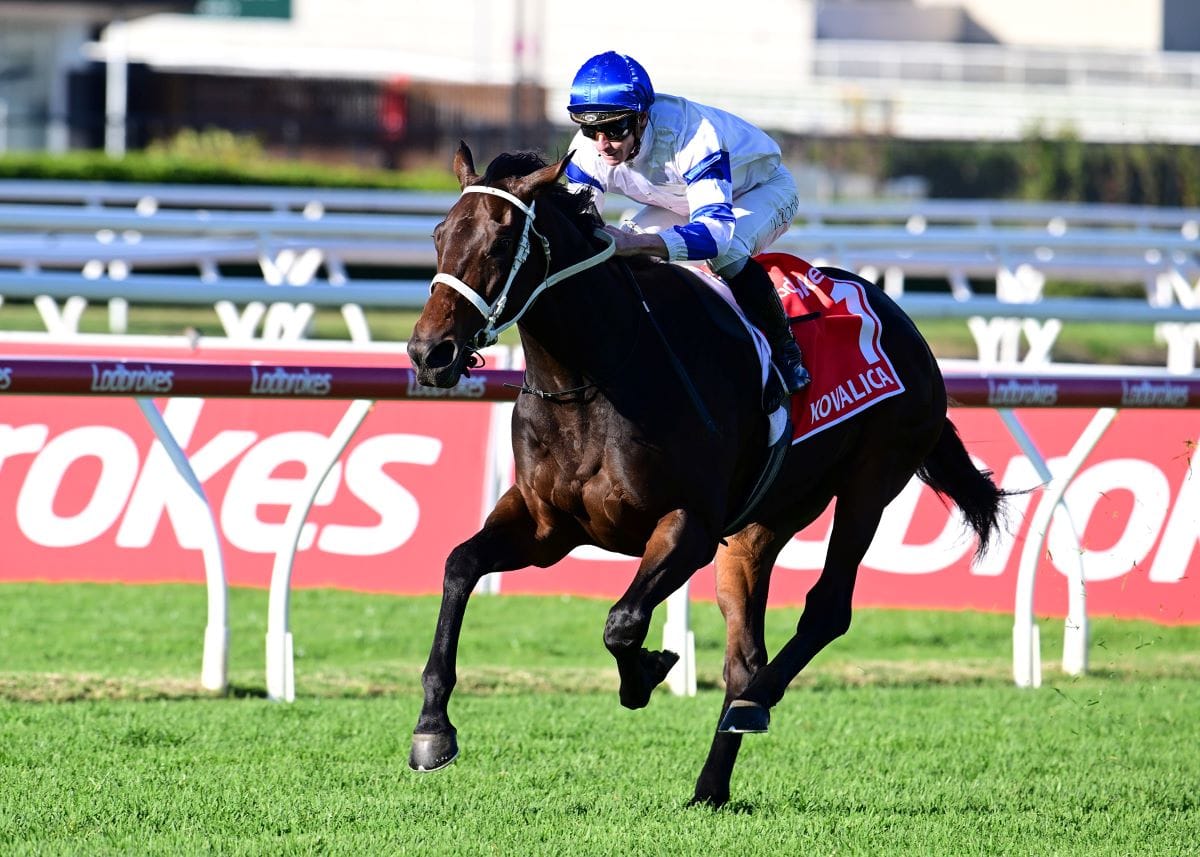 Mulcaster comes up trumps again with Kovalica Derby romp