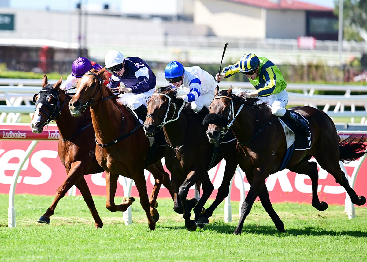 More Queensland success for Kukeracha