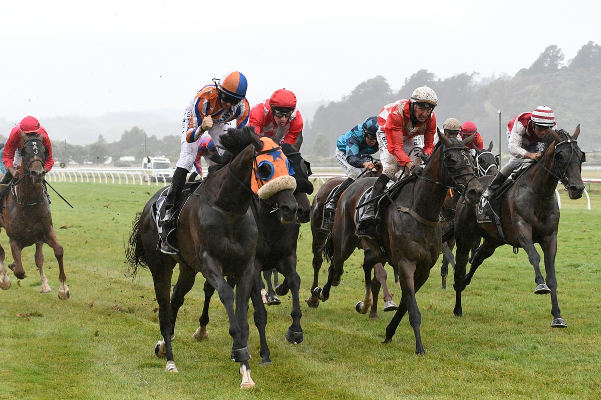 Walker pair swoop on Rotorua feature