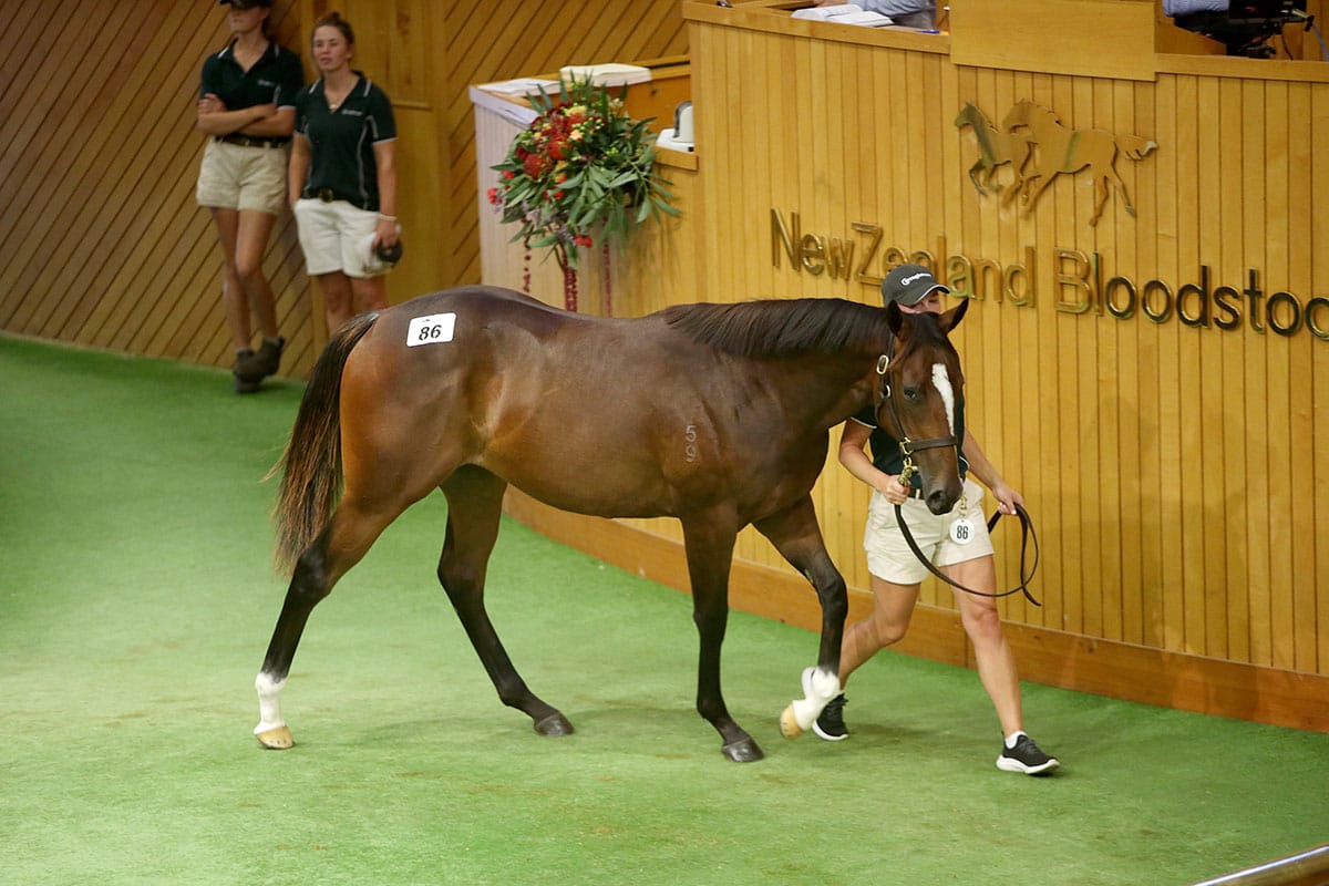 Curraghmore and Sir Owen Glenn team up for second Group One