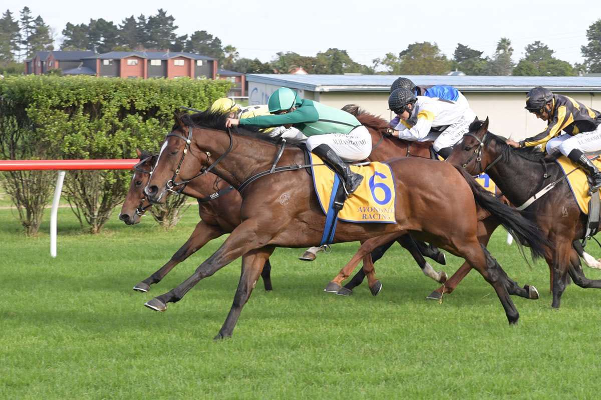 Another milestone victory beckons for Forsman