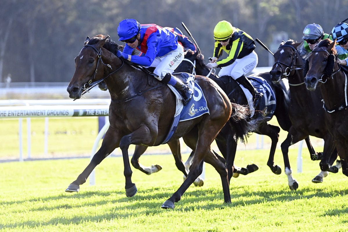 Palmetto set for return