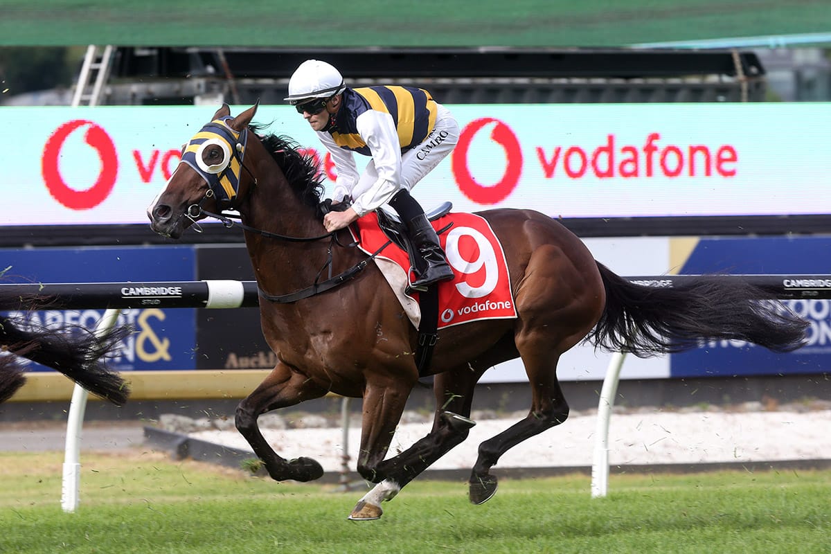 Regal Lion gains Lord Mayor’s Cup start