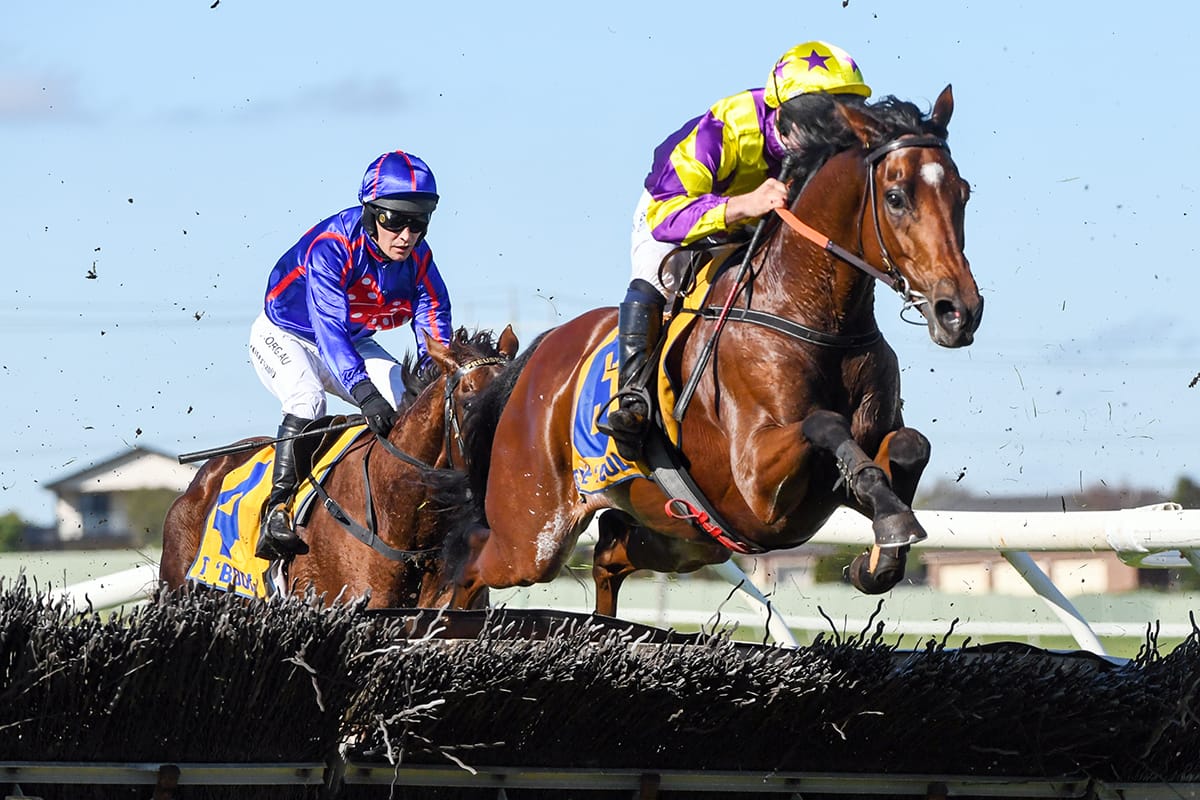 Dwyer hopes to be Riding High again