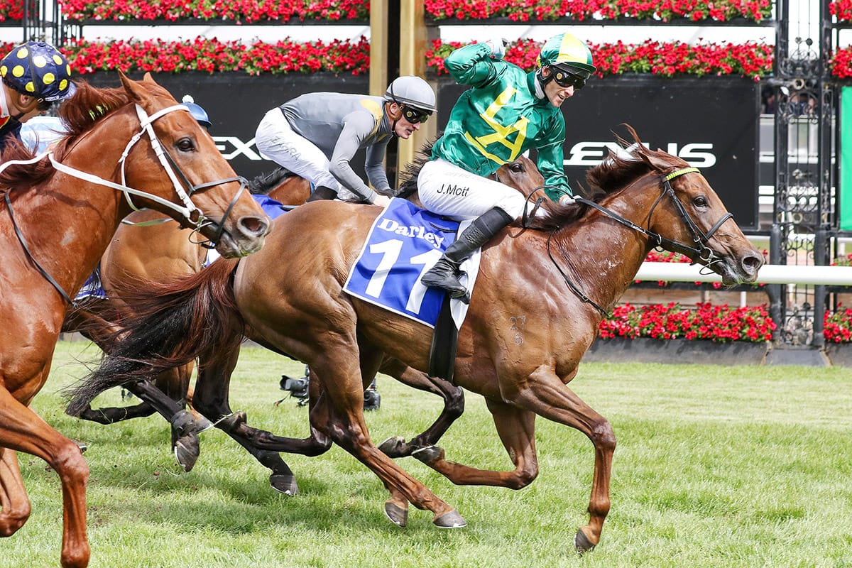 Brilliance and Bargains in Book 2 at Karaka