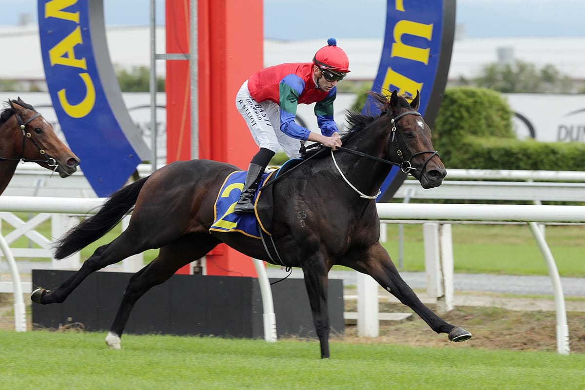 Unlucky Solidify ready for Eagle Farm rematch