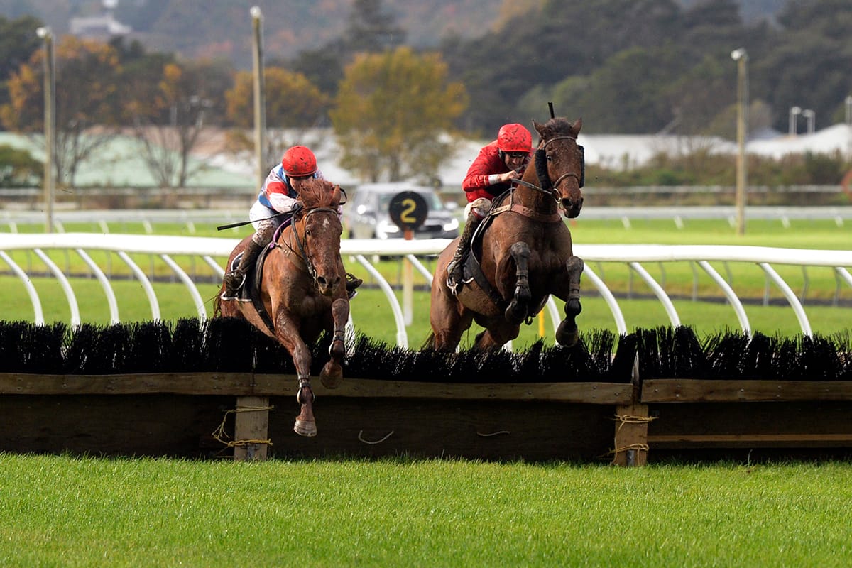 Suliman proves too tough in Awapuni Hurdle