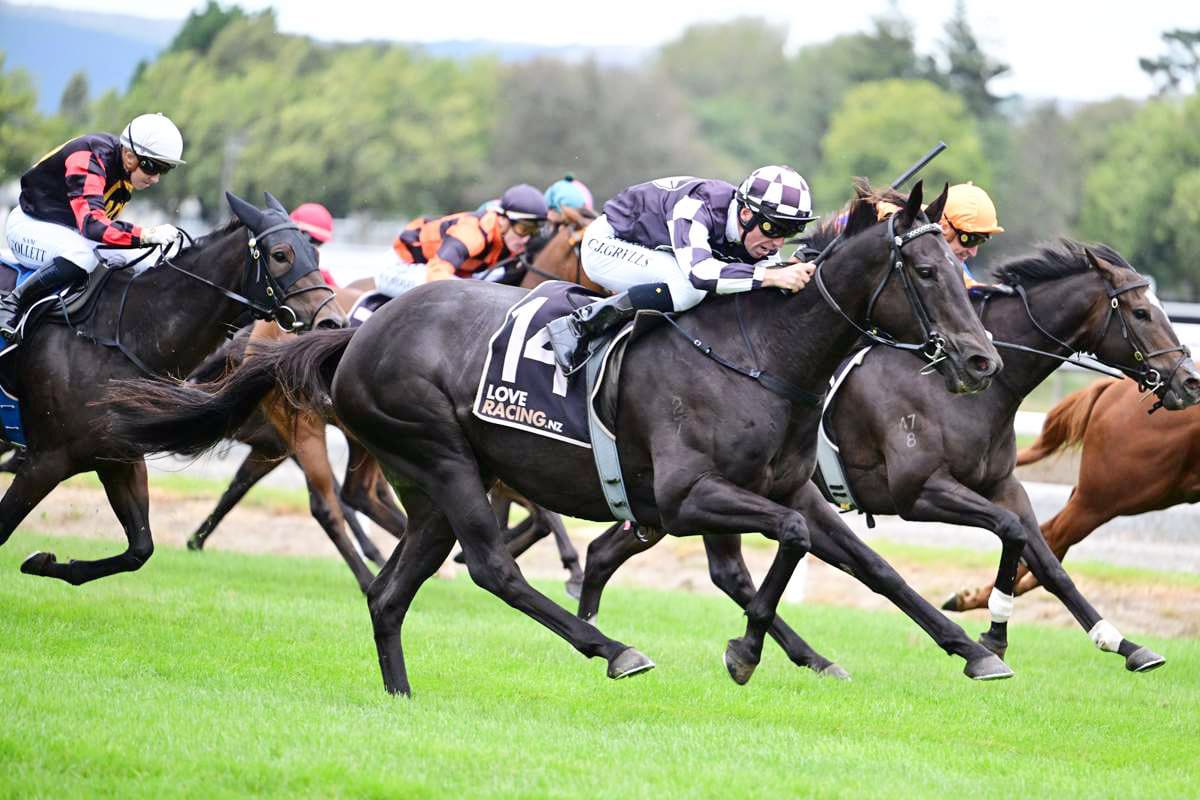 Sumi ready to challenge for black-type honours