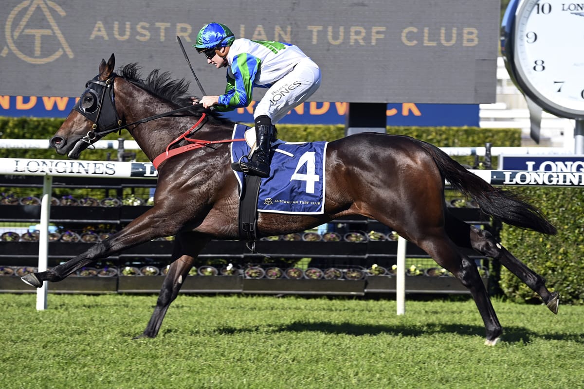 Stradbroke aim for Waihaha Falls