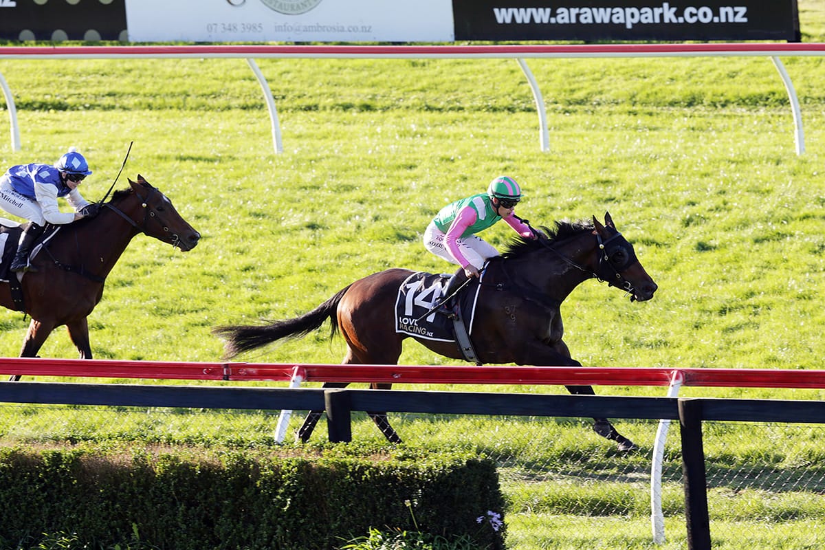 Flying Forsman filly strikes gold at Rotorua