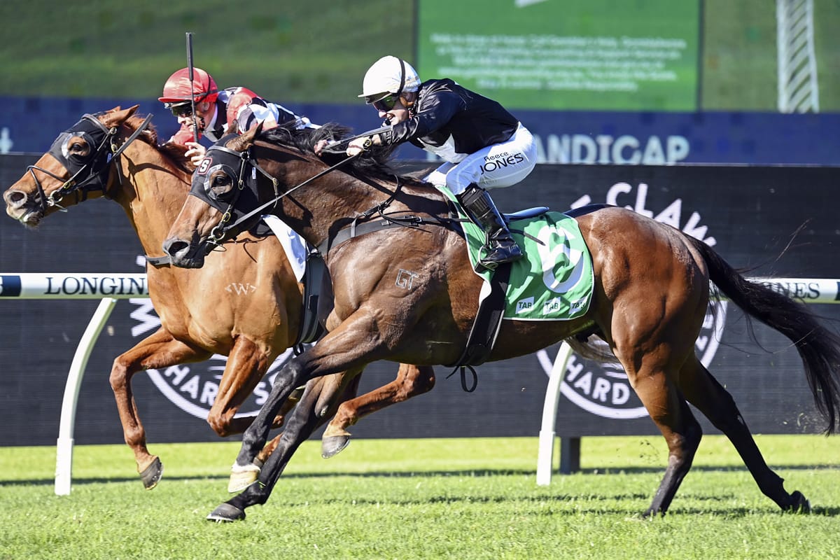 Trainer endures frustrating day at Rosehill