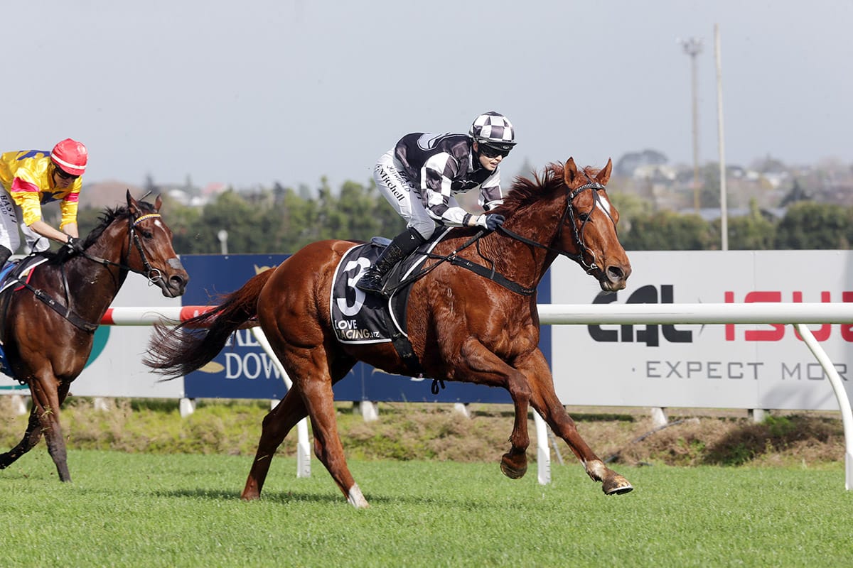 Sharrock enlists apprentice for Awapuni bound duo