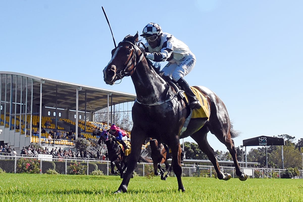 Castletown Stakes favourite sold