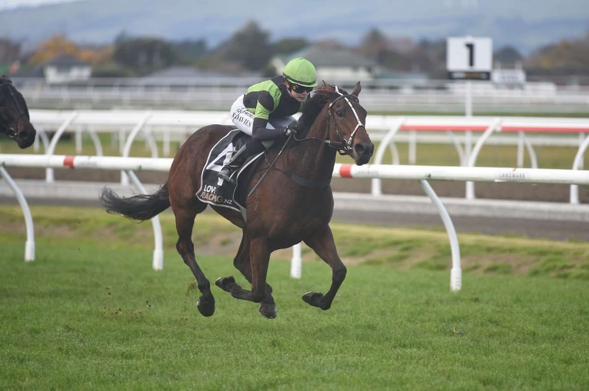 Elle enjoys her travel